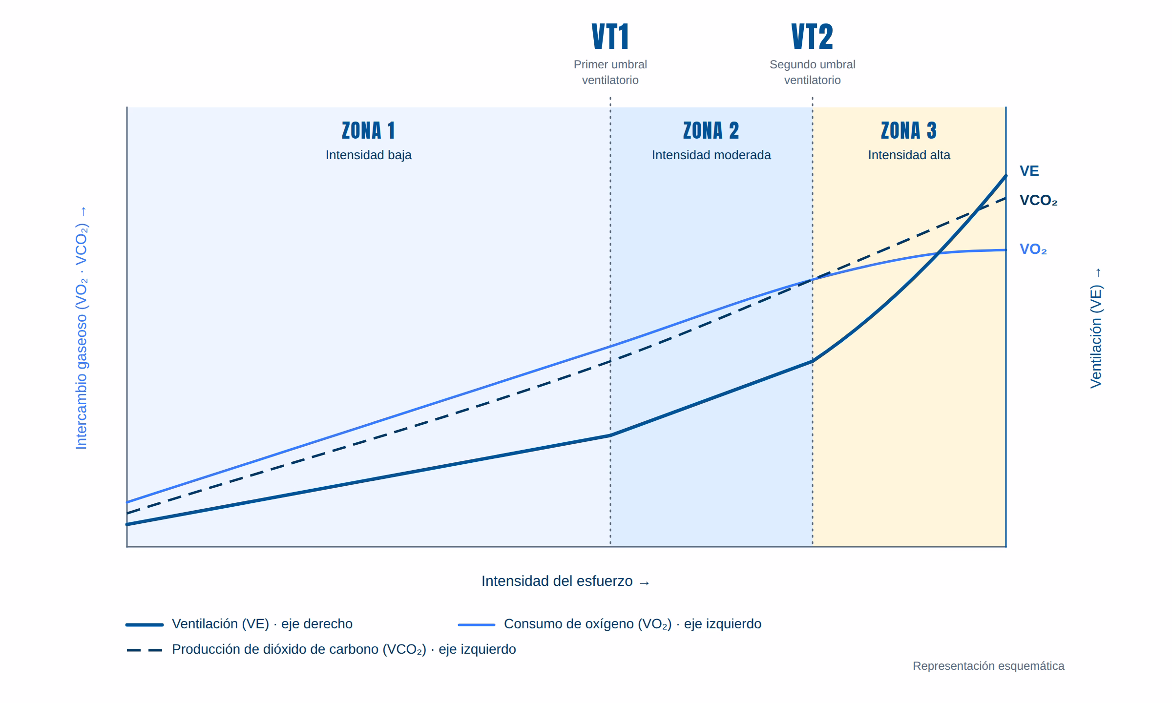 Curva de prueba incremental con los umbrales ventilatorios VT1 y VT2 marcados sobre la respuesta de ventilación, VO₂ y VCO₂
